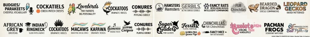Featured bird and exotic pet breeds serviced by Flying Duchess