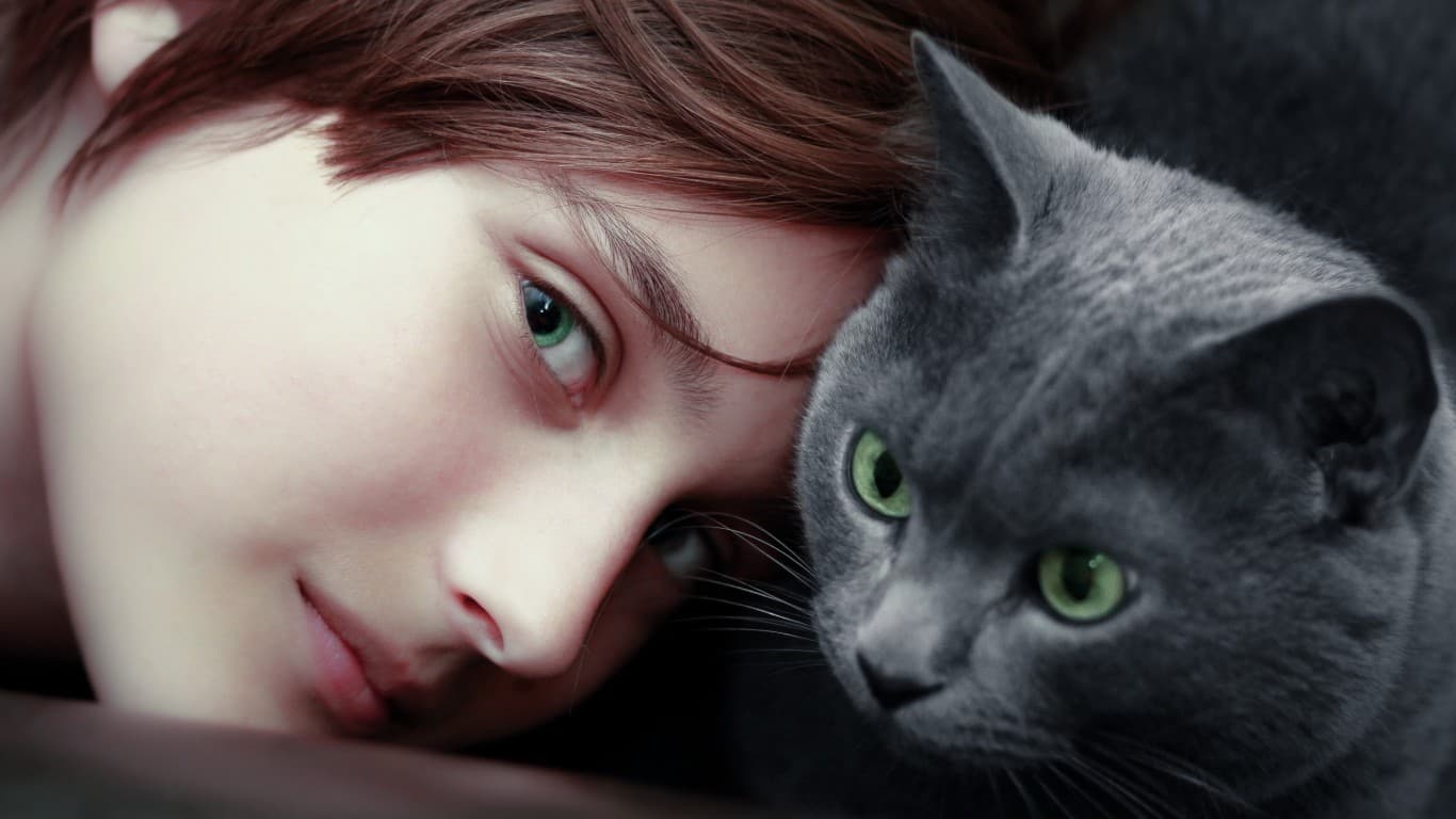 A Flying Duchess sitter with a grey cat